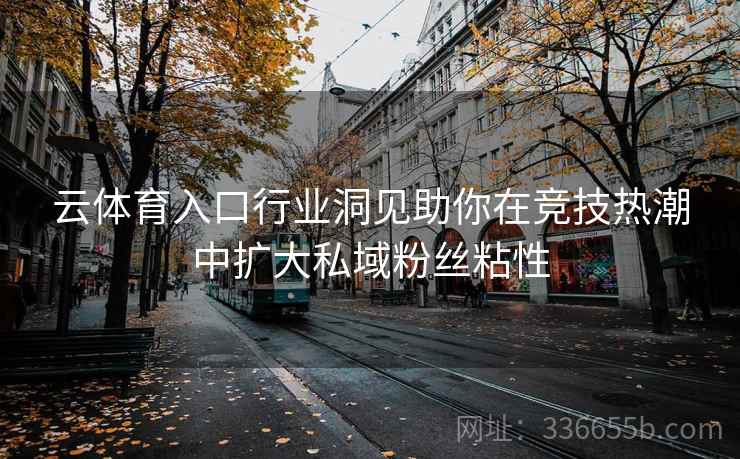 云体育入口行业洞见助你在竞技热潮中扩大私域粉丝粘性
