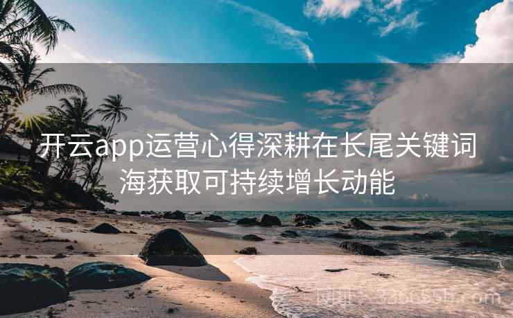 开云app运营心得深耕在长尾关键词海获取可持续增长动能