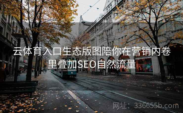 云体育入口生态版图陪你在营销内卷里叠加SEO自然流量