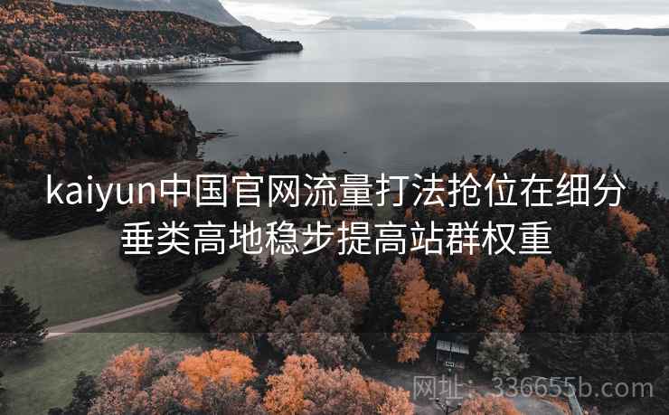 kaiyun中国官网流量打法抢位在细分垂类高地稳步提高站群权重