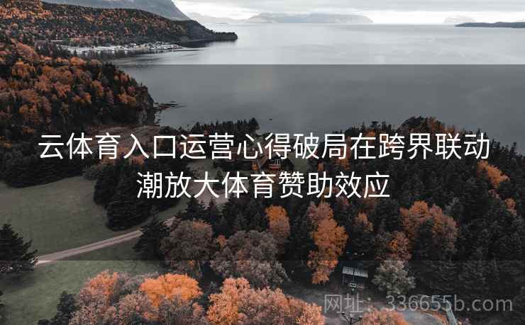 云体育入口运营心得破局在跨界联动潮放大体育赞助效应